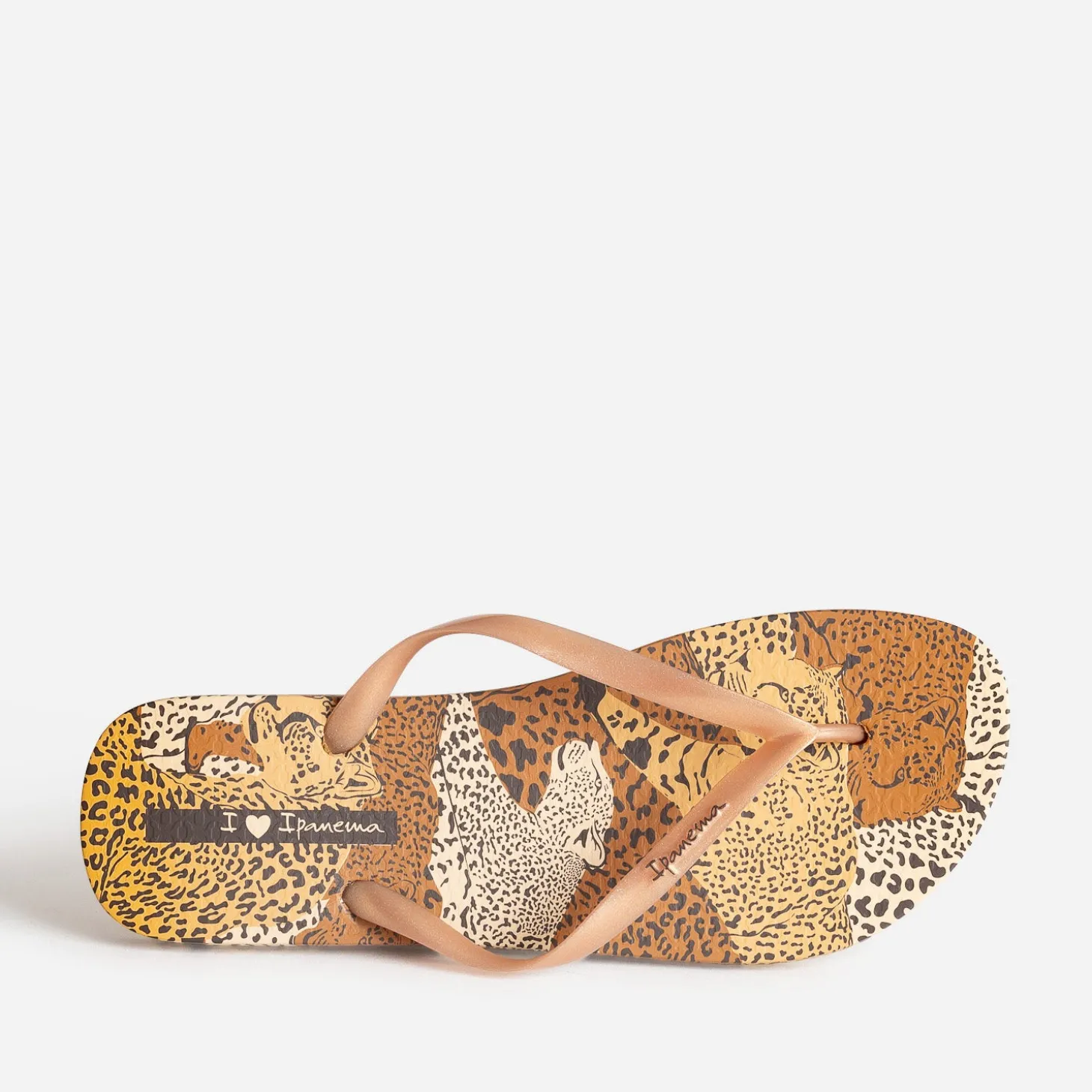 Tong IPANEMA marron imprimé léopards